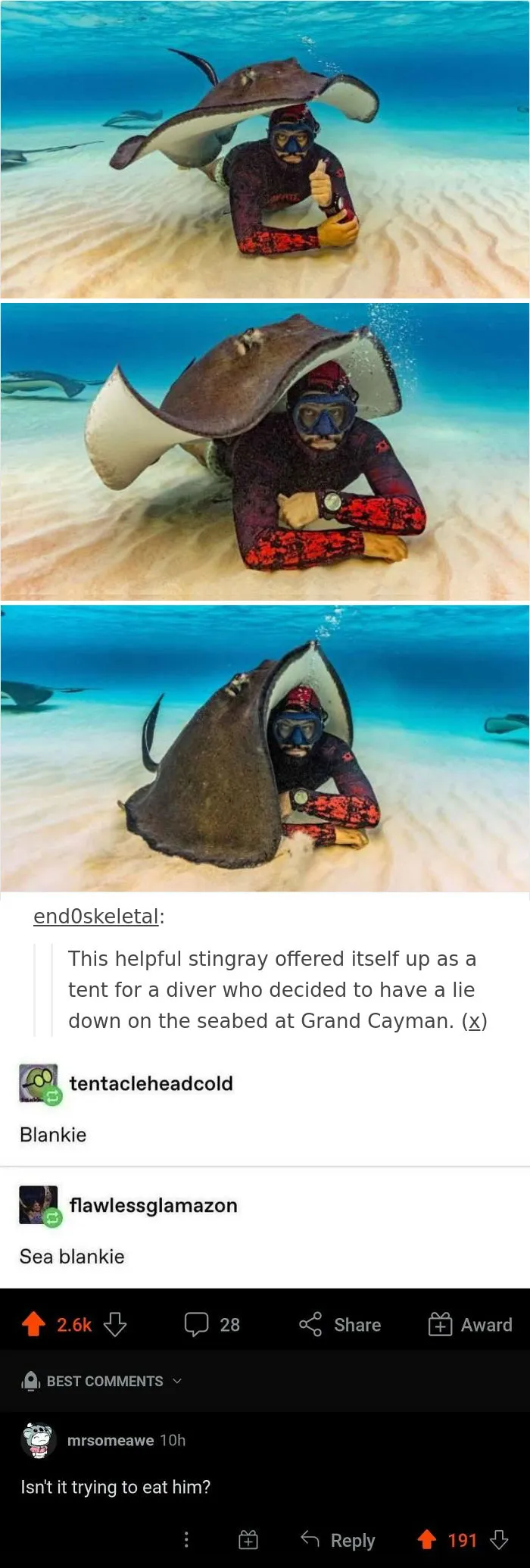 The Face Of The Diver Says It All