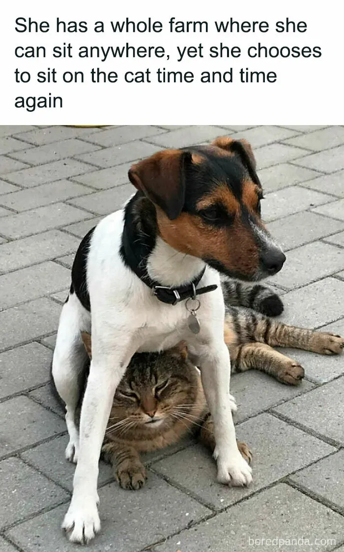 "Yeah, Thanks." -Cat, Probably