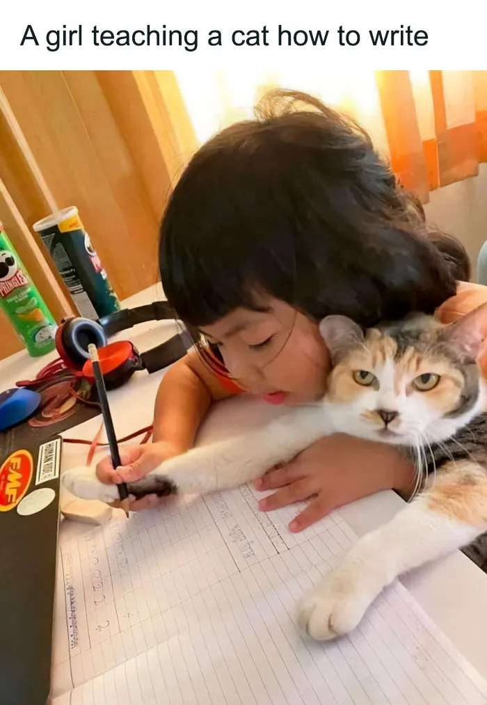 Feline Penmanship