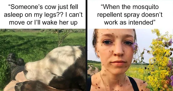 “This Is My Life Now”: 50 Hilarious Pics Of Humans And Animals Coming To Terms With Unexpected Situations (New Pics)