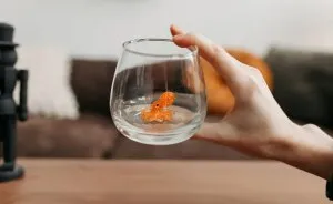 I Made Drinking Glasses With An Unique Addition Inside (10 Pics)