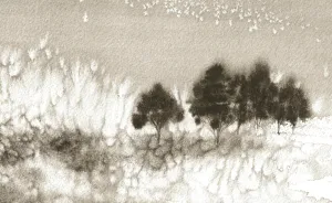 I Create Paintings With Charcoal And Salt And The Result Is Whimsical (18 Pics)