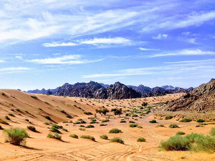 View of sand dune and mountain 