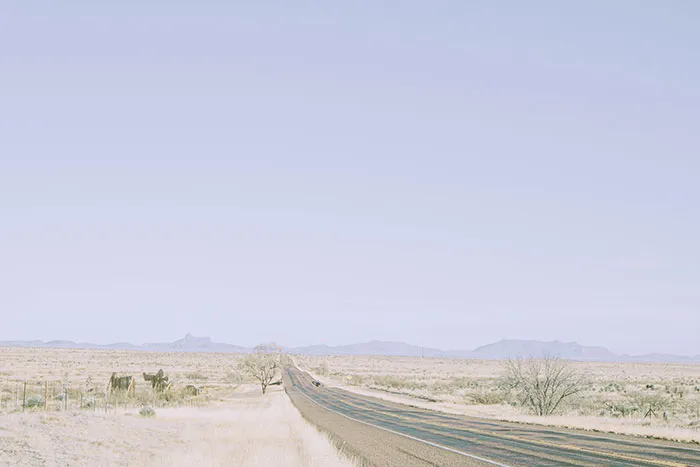 A road between dry grass field