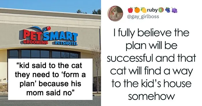 Wholesome Story Of A Boy Whispering His Address To A Cat At The Pet Store Because His Mom Said No, Goes Viral Capturing The Hearts Of Over 200k Twitter Users