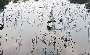 50 Pics Of ‘Accidental Masterpieces’ That Happened With No Intention To Make Art (New Pics)