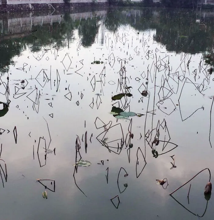 El reflejo de estos palos crea formas interesantes