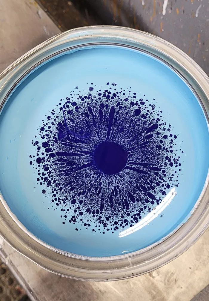 Eye See You