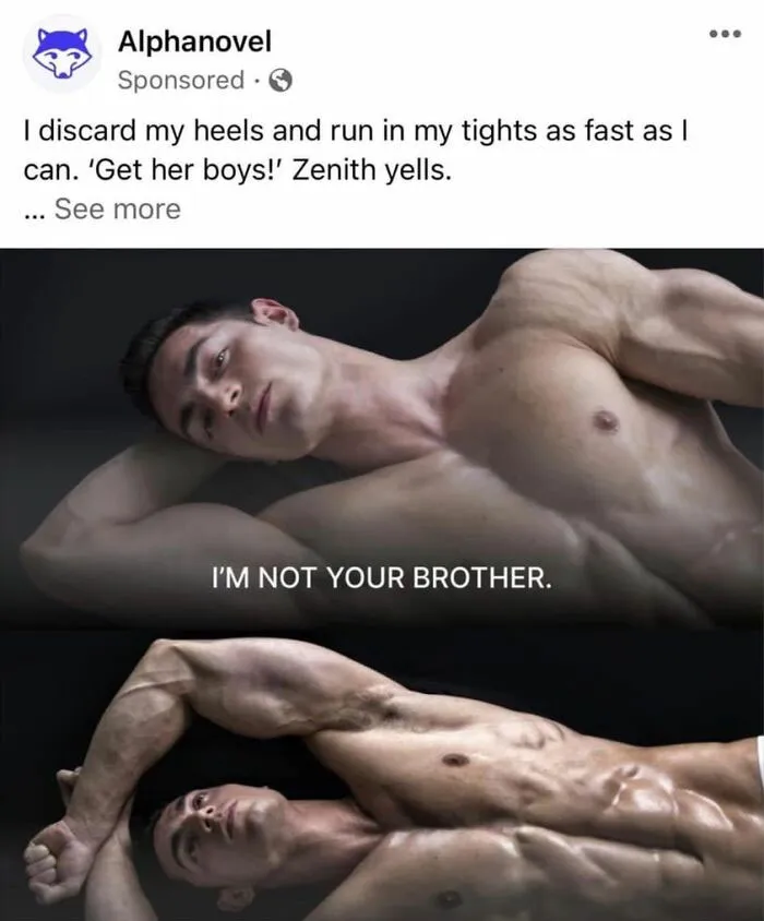 These Are Very Strange Ads I Get About Some Fantasy Story.... The Pictures Or Video Clips With The Excerpt Make Absolutely No Sense
