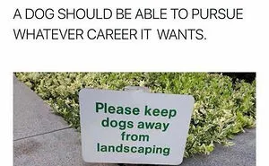 30 Hilariously Useless, Unsuccessful And/Or Unpopular Signs