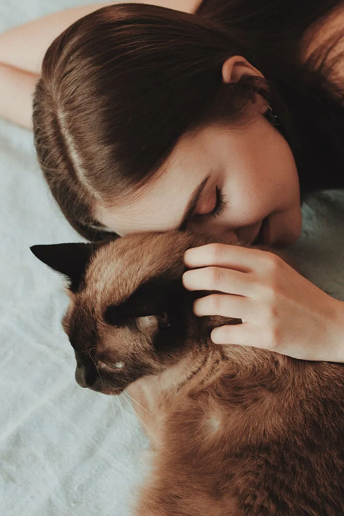 Your Cat Head-Butts You