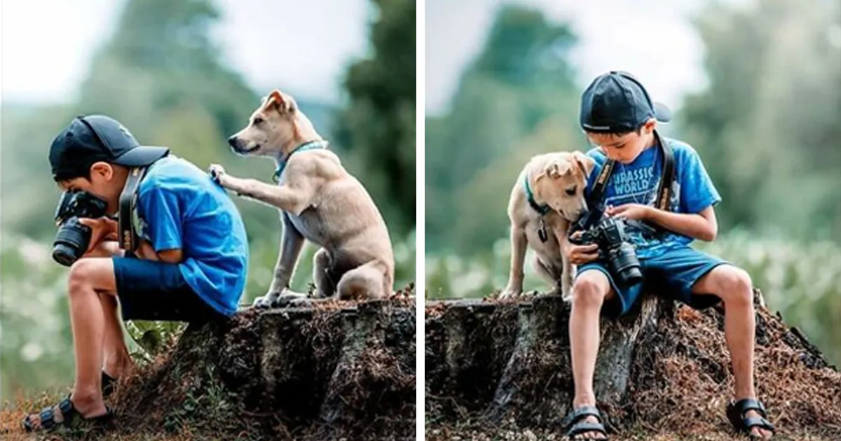 40 Perros tan reconfortantes que había que compartir para difundir alegría (nuevas fotos)