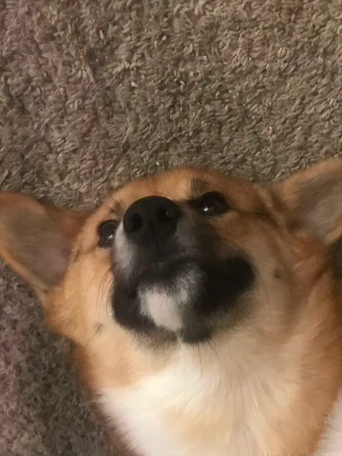 He Makes Me Very Happy And Inspired This Account, He Is Winston