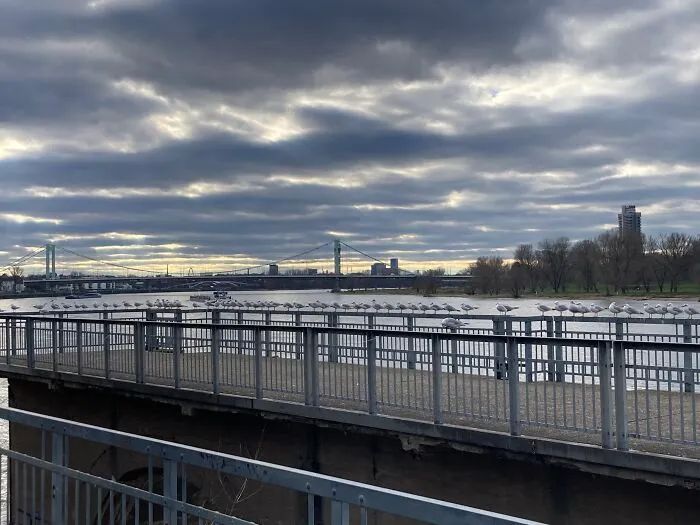 We Hardly Ever Get Snow But Here's My City Looking Chilly In January