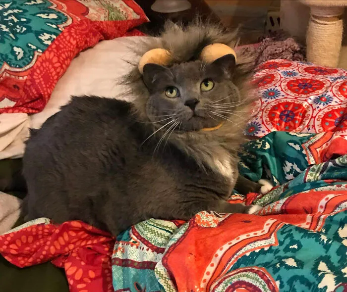 Meet Mr. Maebry!