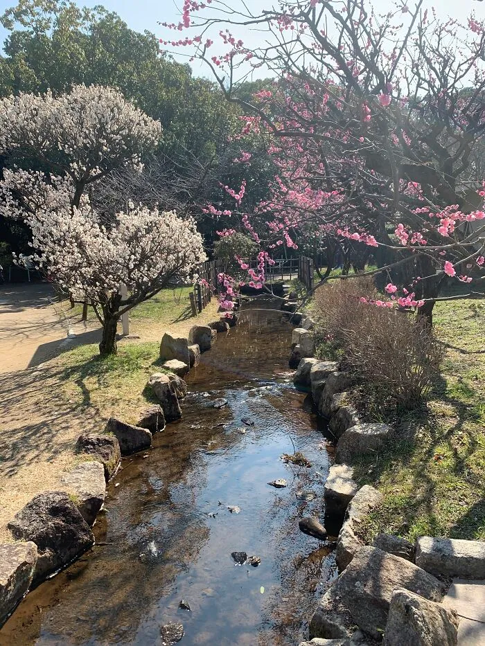 Japan, Sunny But Cold