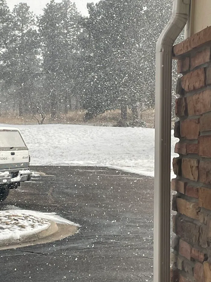 My Daughters In Colorado