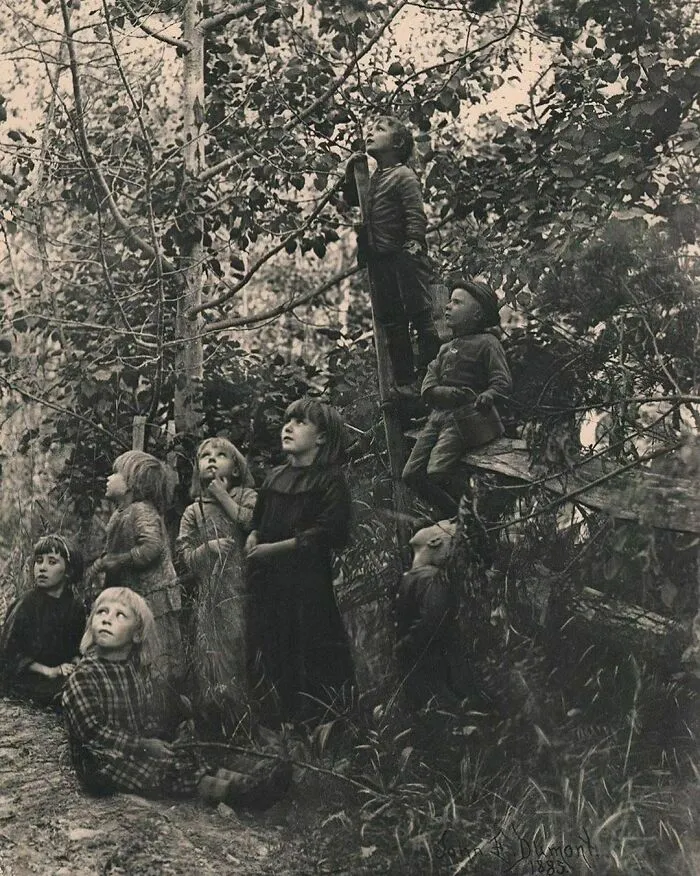 Escuchando a los pájaros, 1885, por John Dumont