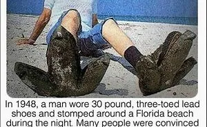 40 Posts Roasting The Hell Out Of Florida, As Shared On The "Florida Man" Instagram Page