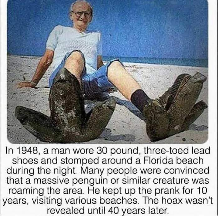 40 Posts Roasting The Hell Out Of Florida, As Shared On The "Florida Man" Instagram Page