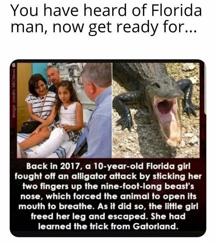 40 Posts Roasting The Hell Out Of Florida, As Shared On The "Florida Man" Instagram Page