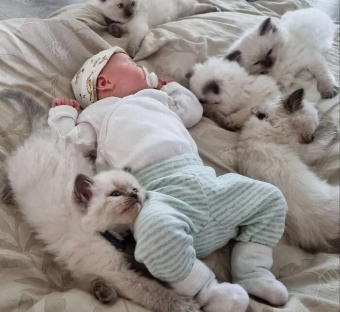 Have You Ever Seen Anything Sweeter?
