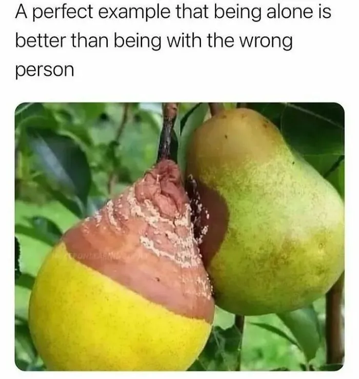 “Someone’s Therapist Knows All About You”: 50 Memes That One Should Probably Discuss In Therapy