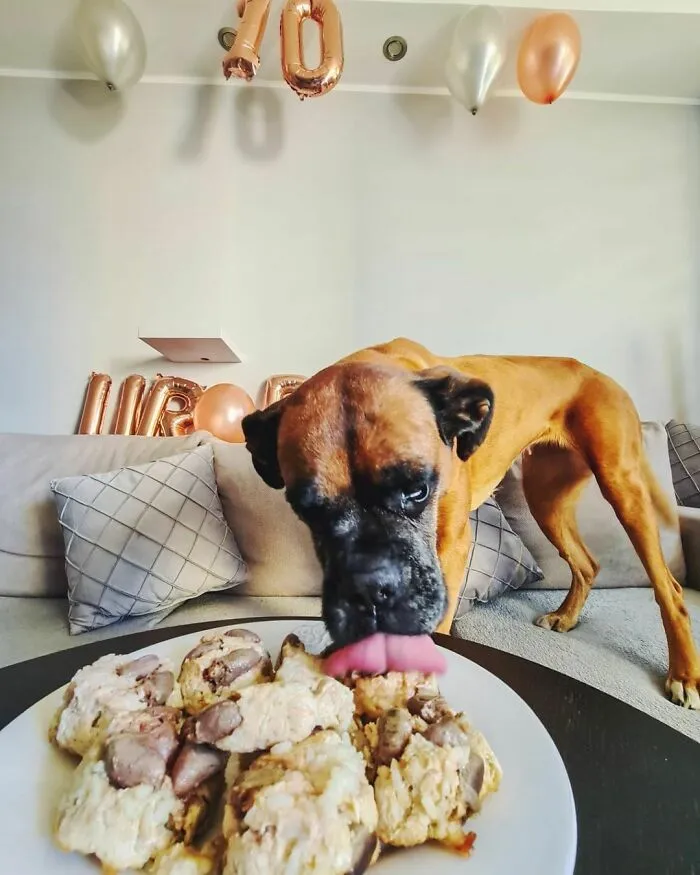 On Monday I Turned 10, I Had A Pawty