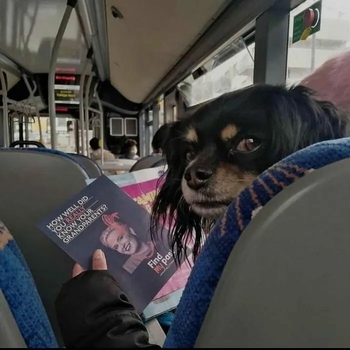 This Instagram Account Shares Pics With Little To No Context, And Here Are 40 Of The Funniest Ones