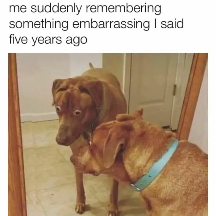 This Instagram Page Is Sharing “Antisocial Memes”, And Here Are 50 Of The Funniest Ones