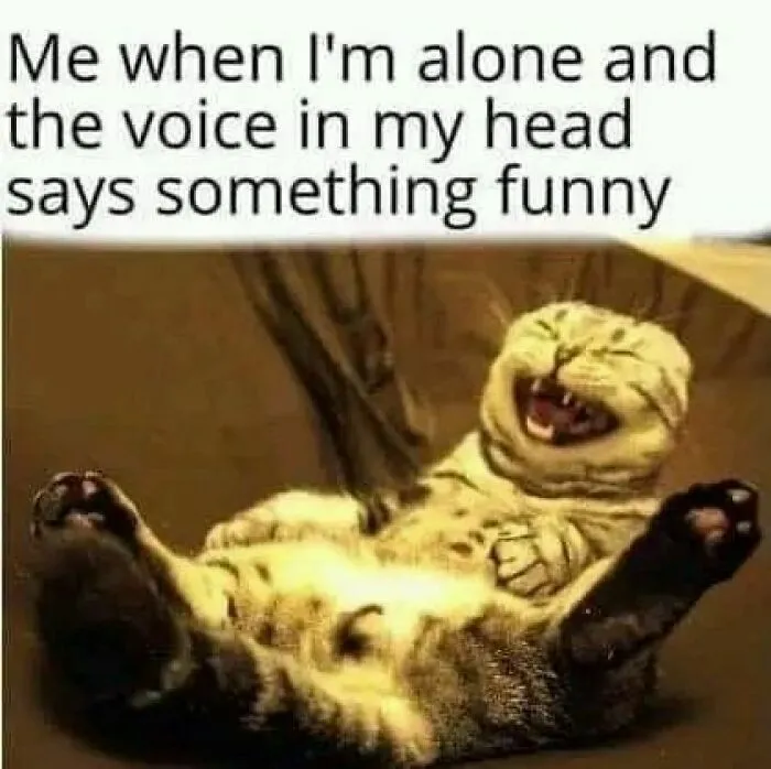 This Instagram Page Is Sharing “Antisocial Memes”, And Here Are 50 Of The Funniest Ones