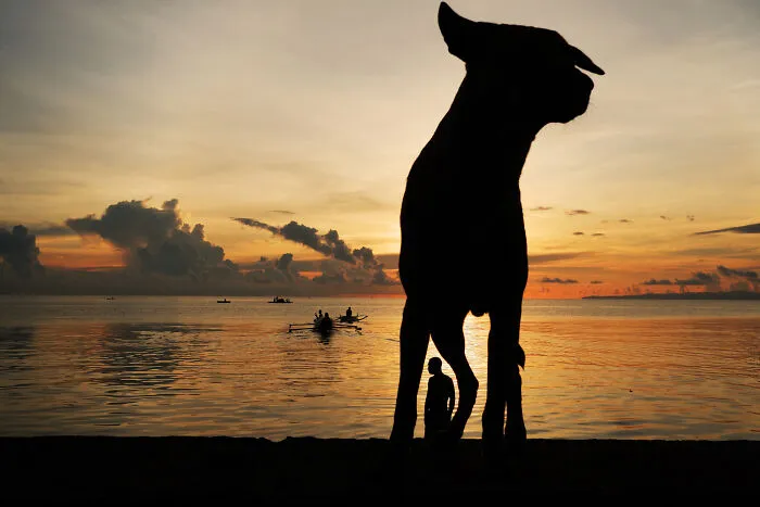 “The City Of Gentle People”: Here Are 36 Of My Favorite Photographs
