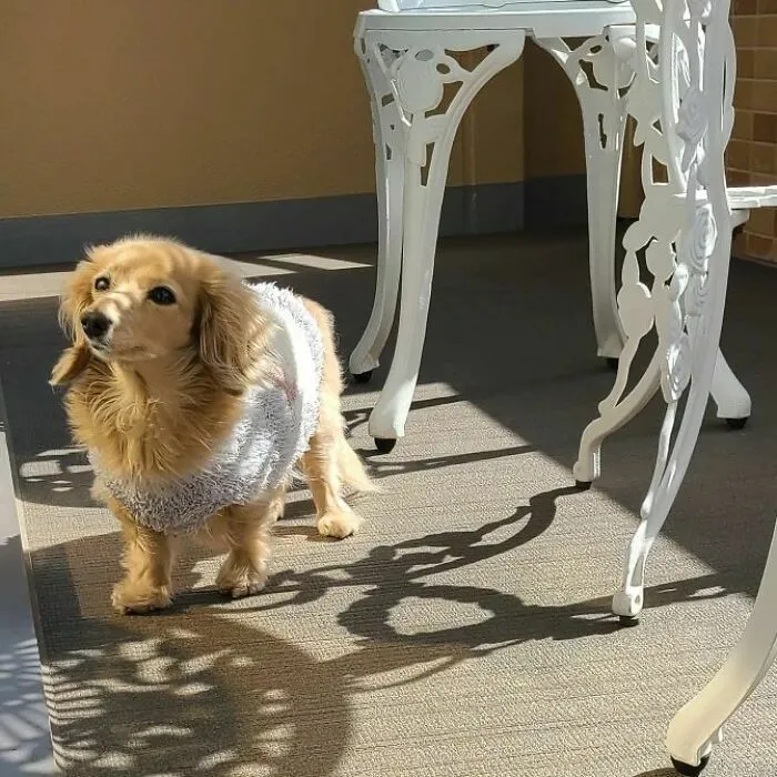 My Favourite Balcony