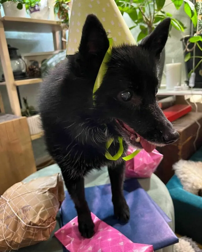 Today Was This Little Lady's 15th Birthday! Of Course We Celebrated With A Whole Bunch Of Packages
