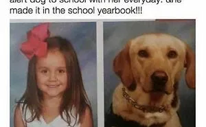 50 Memes That Dog Owners May Find Humorously Relatable