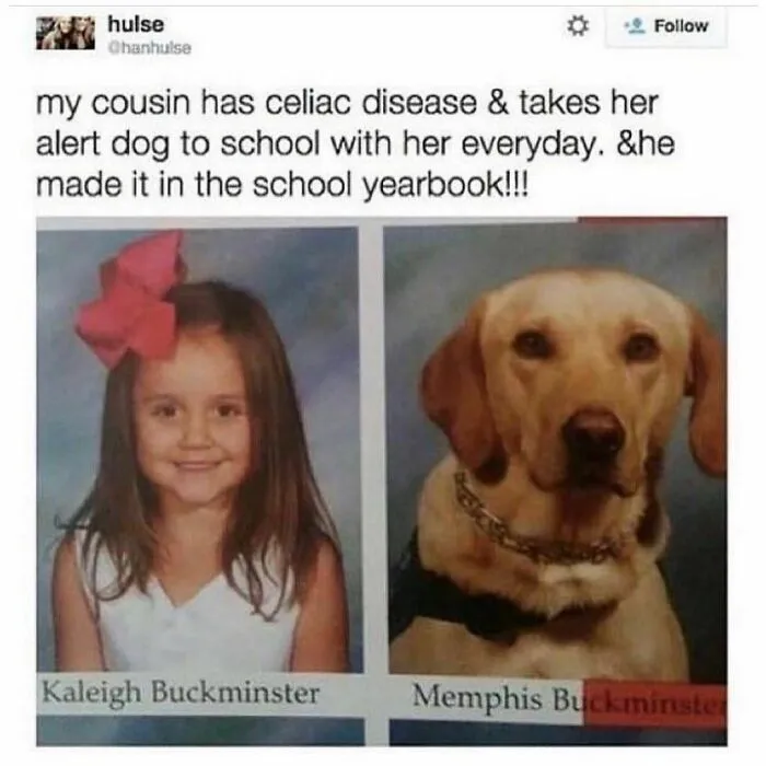 Funny-Dogs-Memes-Dogspix