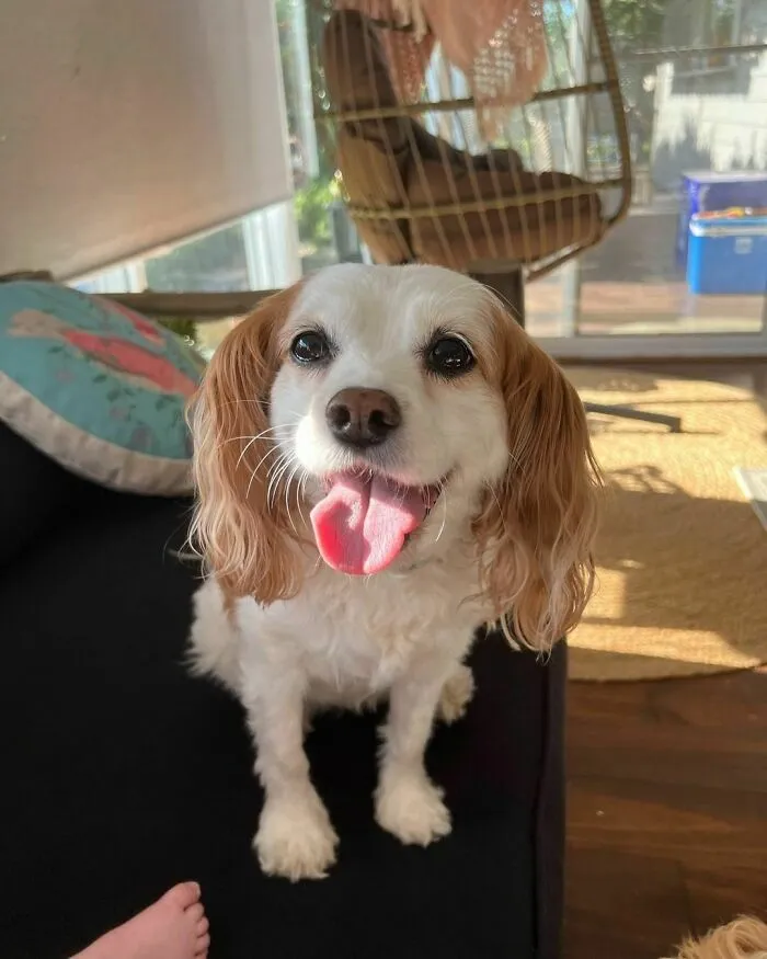 12 Today! Here’s To A Day Of Lying Around