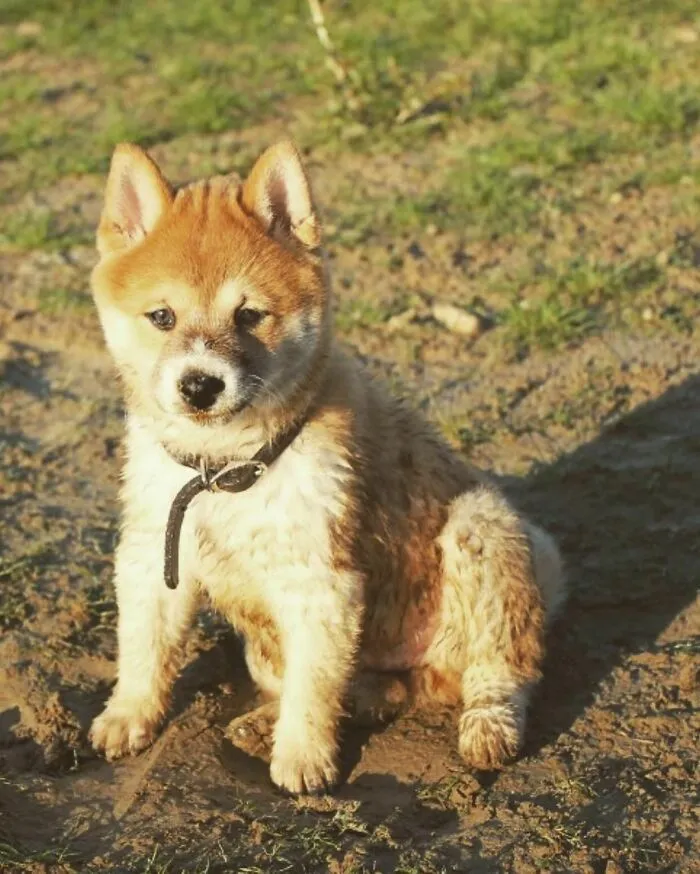 Ode To Auti, The Boy Who Changed My Life For The Better 13 Years Ago This Year