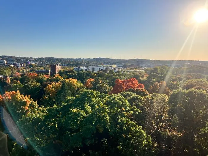 A Top A Tower In The Arlington Cemetery
