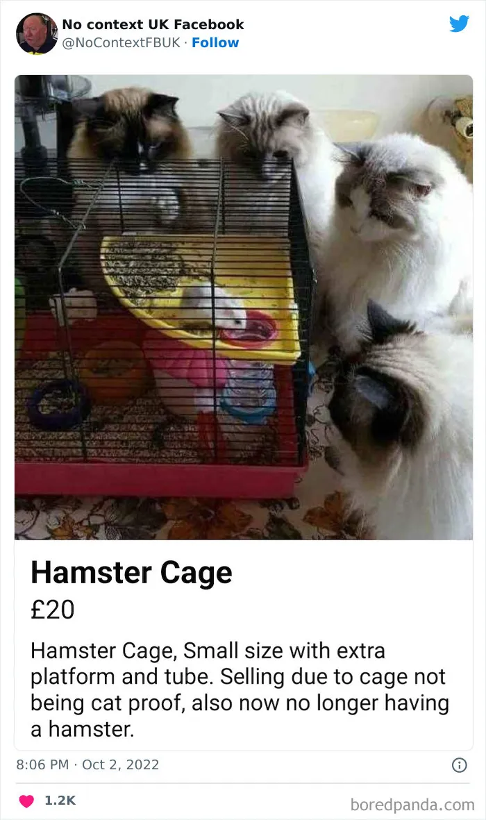 50 Chaotic And Hilarious ‘No Context UK’ Pics That Are 100% British (New Pics)