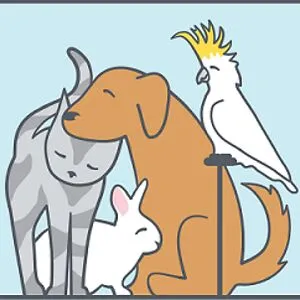 Harmony Animal Hospital