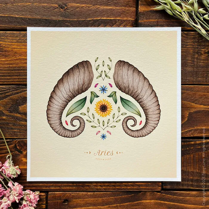 Aries - The Brave