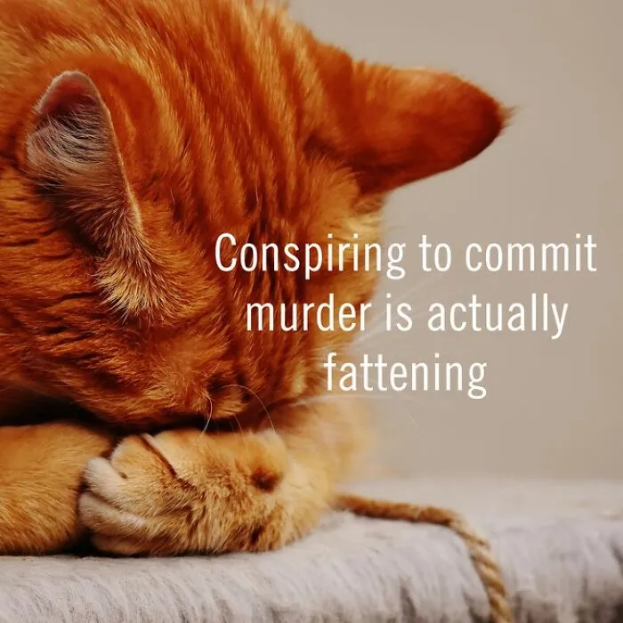 This Bot Was Created To Generate Inspirational Images, But It Will Probably Make You Laugh Instead (27 Pics)
