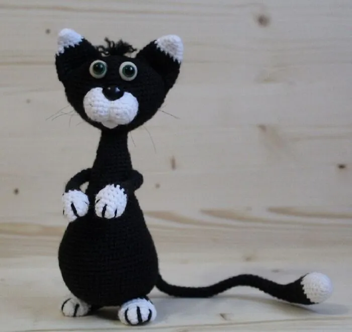 Black Cat