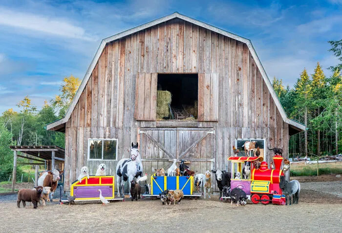 Who's Driving This Train?
