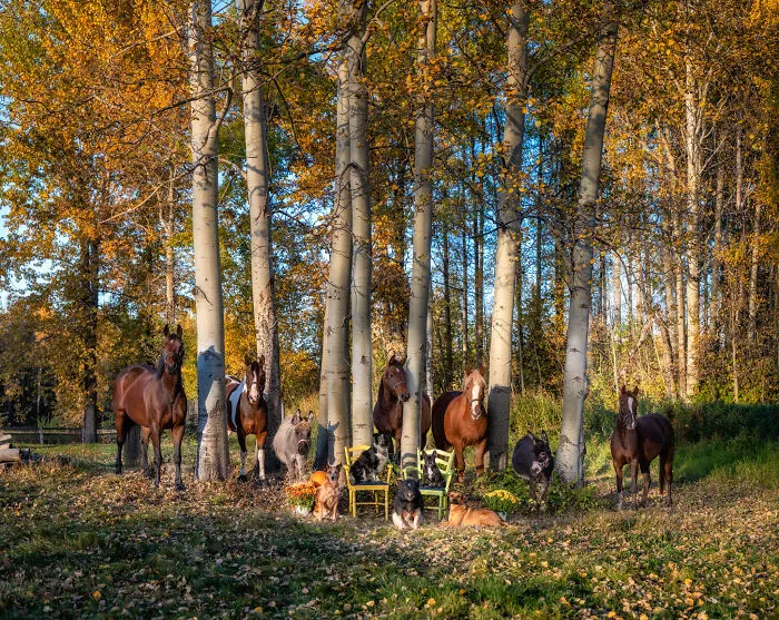 A Fall Evening
