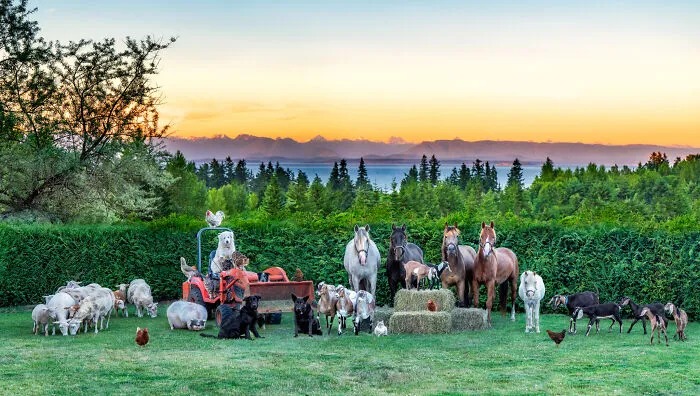Vancouver Island, Bc