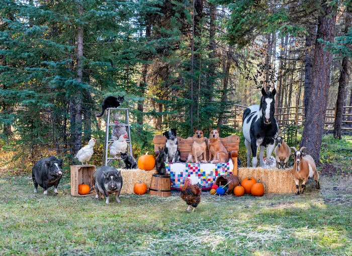 Thanksgiving