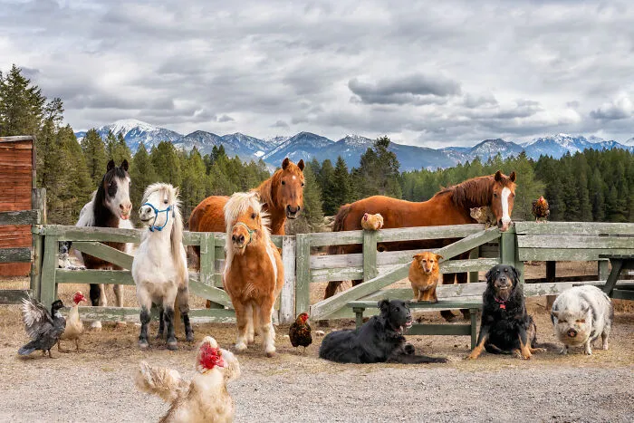 Invermere, Bc