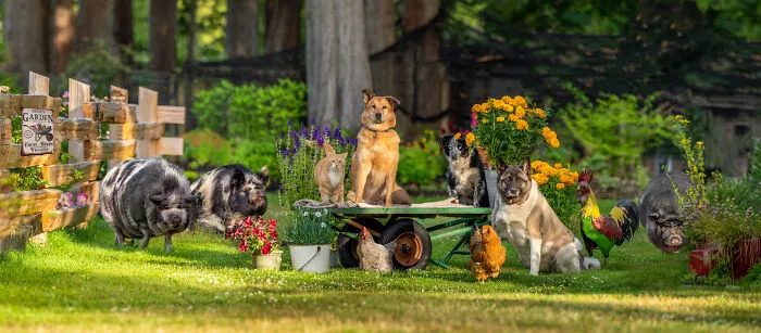Garden Shoot